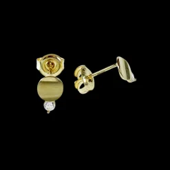 Guldörhängen Curved Plate & Shiny Stone 18K
