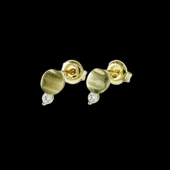 Guldörhängen Curved Plate & Shiny Stone 18K