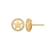 Guldörhängen Star Circle 18K