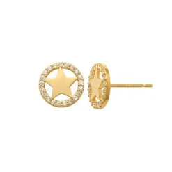 Guldörhängen Star Circle 18K