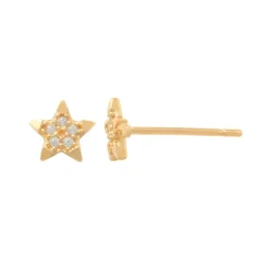 Guldörhängen Star 18K
