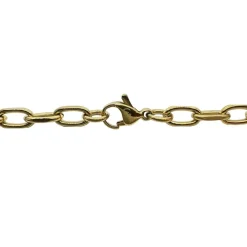 Halsband Ankar Förgyllt Stål - 6 mm