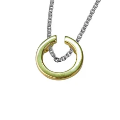 Halsband Circle Förgyllt Silver