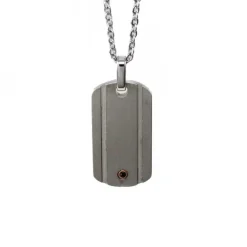 Halsband Plate Stål