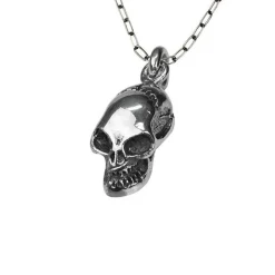 Halsband Skull Oxiderat Silver
