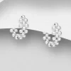 Örhängen Bullets Silver