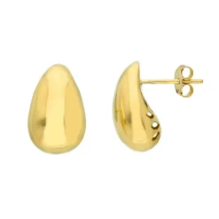 Örhängen Drop Guld 18K - 10 x 17 mm