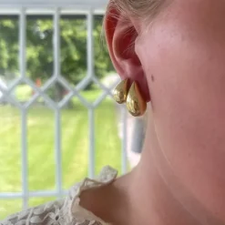 Örhängen Drop Guld 18K - 15 x 27 mm