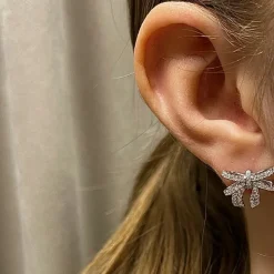 Örhängen Sparkling Rosette Silver