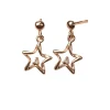 Örhängen Sparkling Stars Roséförgyllt Silver