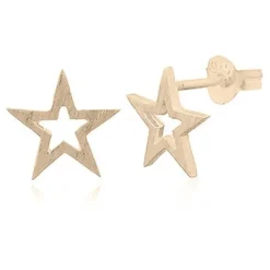 Örhängen Star Brushed Förgyllt Silver