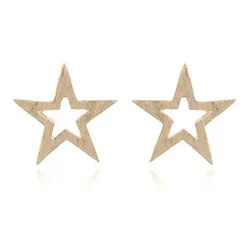 Örhängen Star Brushed Förgyllt Silver