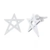 Örhängen Star Brushed Silver
