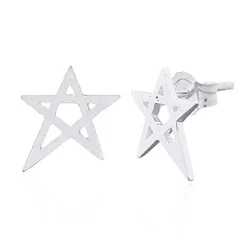 Örhängen Star Brushed Silver