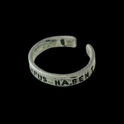 Ring "Omnia Tempus Habent" Oxiderat Silver